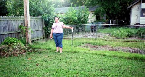 Jessie poses with the back fence